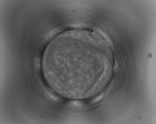 X0000094070117200711161556