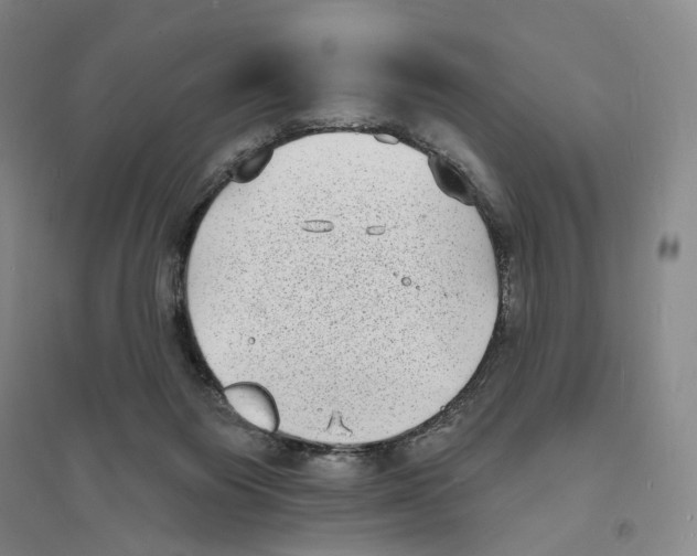 X0000094070119200711161556