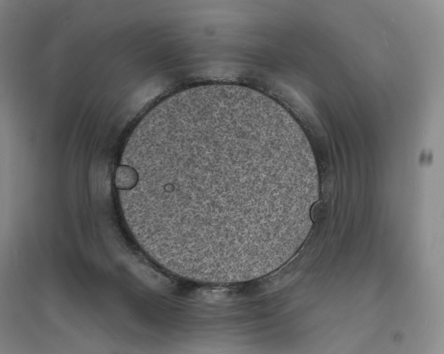 X0000094070120200711161556