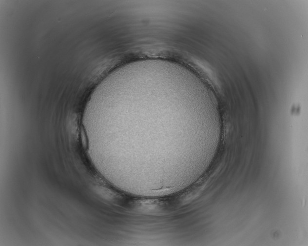 X0000094070121200711161556