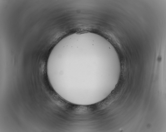 X0000094070123200711161556