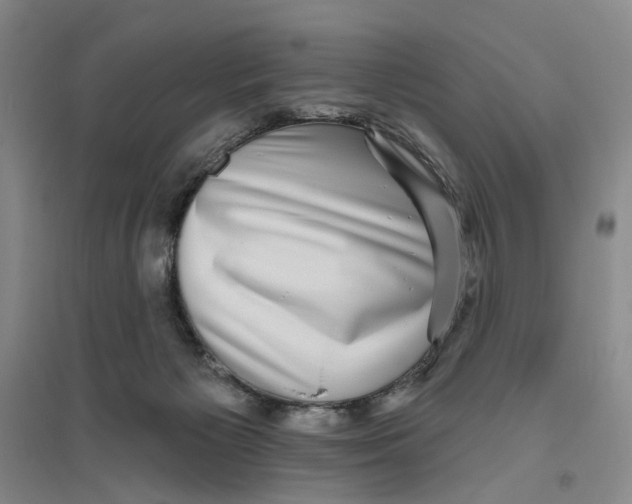 X0000094070125200711161556