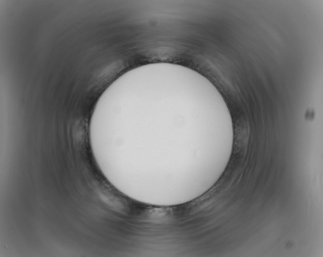 X0000094070126200711161556