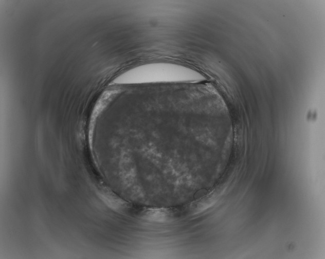X0000094070127200711161556