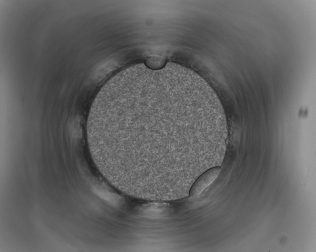 X0000094070128200711161556