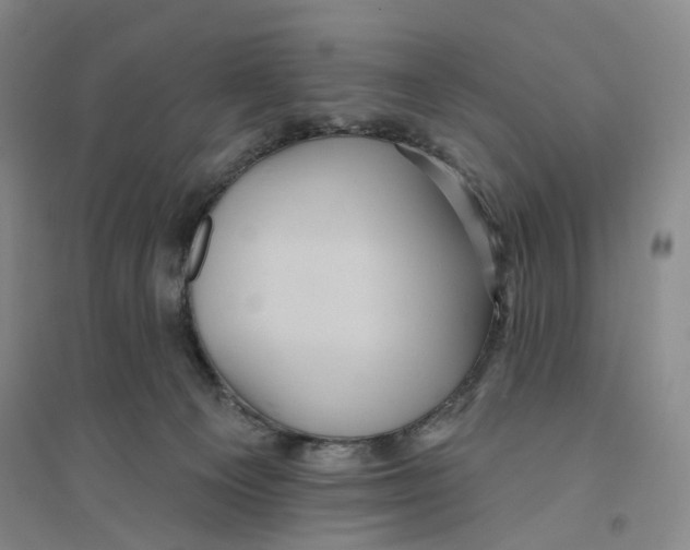 X0000094070129200711161556