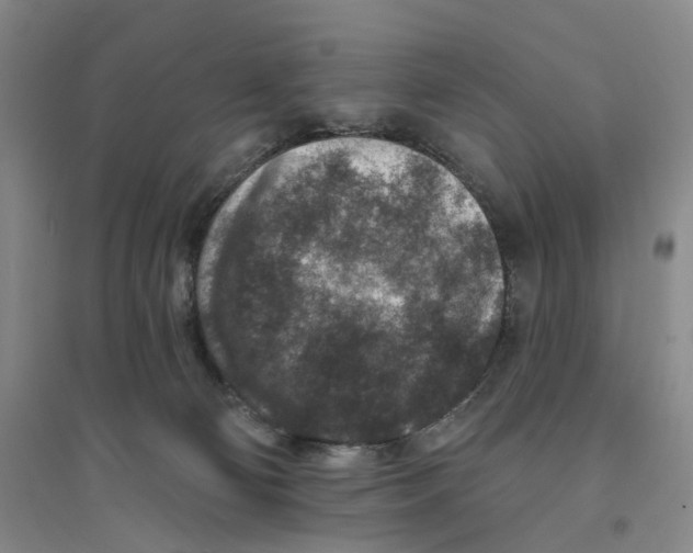 X0000094070130200711161556