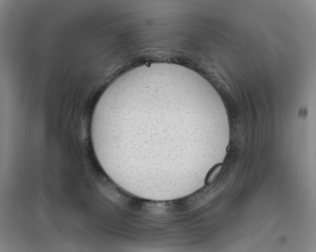 X0000094070131200711161556