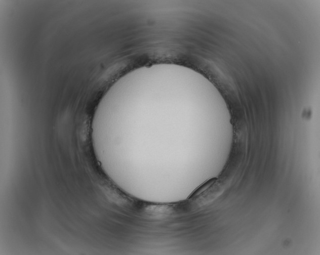 X0000094070133200711161556