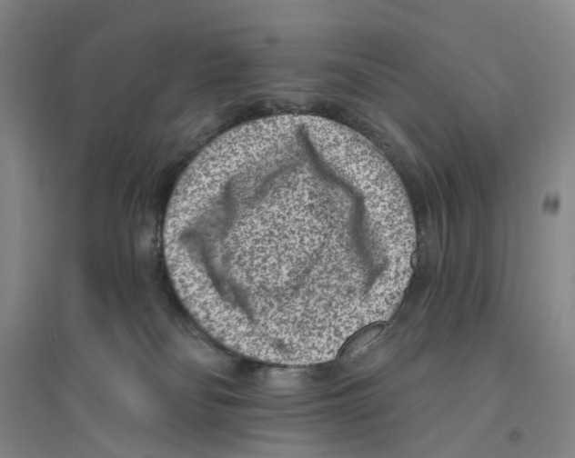 X0000094070134200711161556