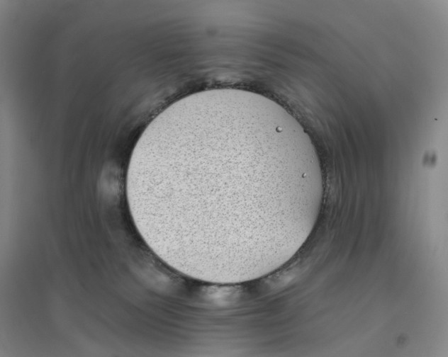 X0000094070135200711161556