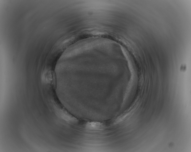 X0000094070137200711161556