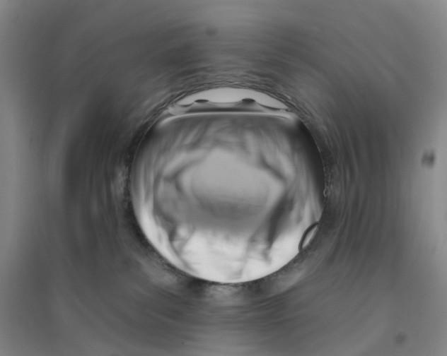 X0000094070139200711161556