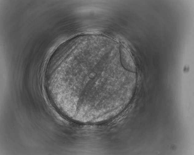 X0000094070145200711161555