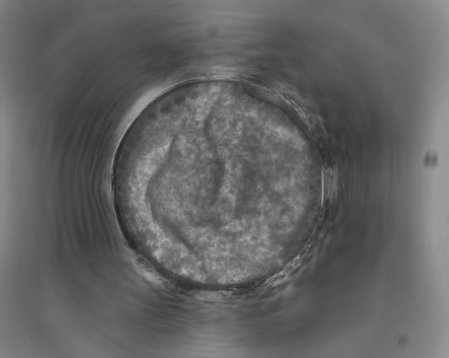 X0000094070147200711161555