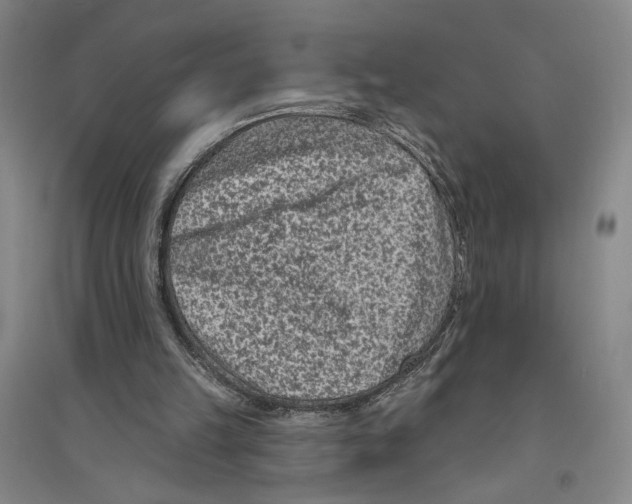 X0000094070149200711161555
