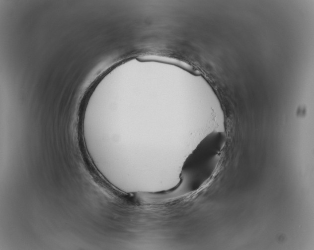 X0000094070150200711161555