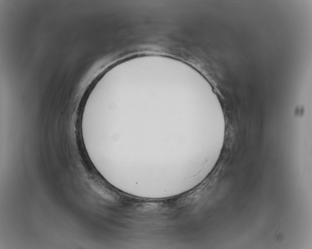X0000094070151200711161555