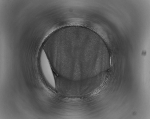 X0000094070156200711161555