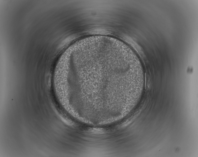 X0000094070157200711161555