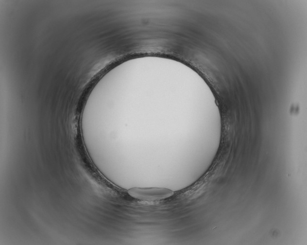 X0000094070160200711161555