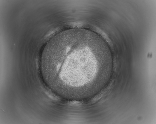 X0000094070161200711161555