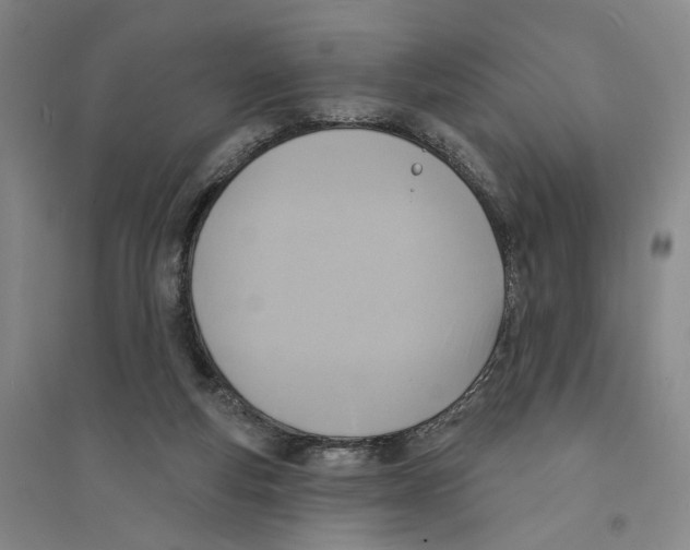 X0000094070163200711161555