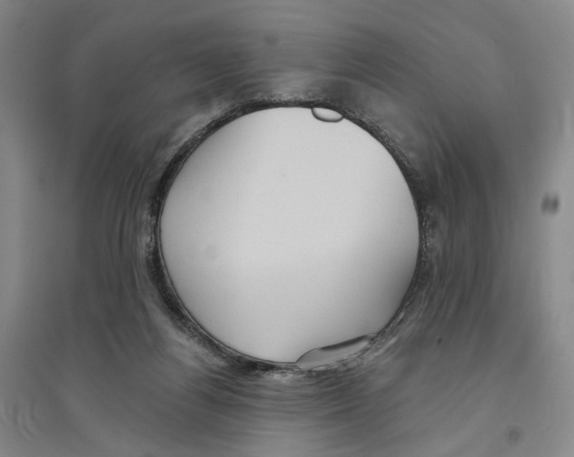 X0000094070164200711161555