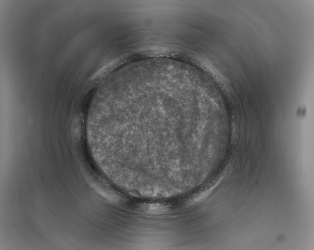 X0000094070165200711161555