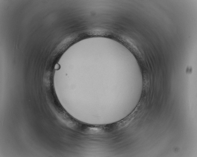X0000094070167200711161555