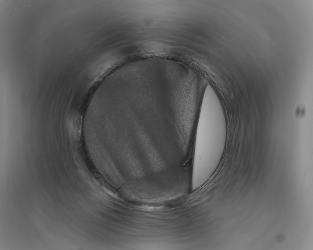 X0000094070168200711161555