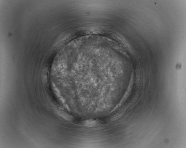 X0000094070169200711161555