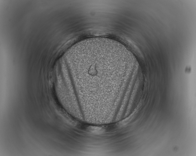 X0000094070170200711161555