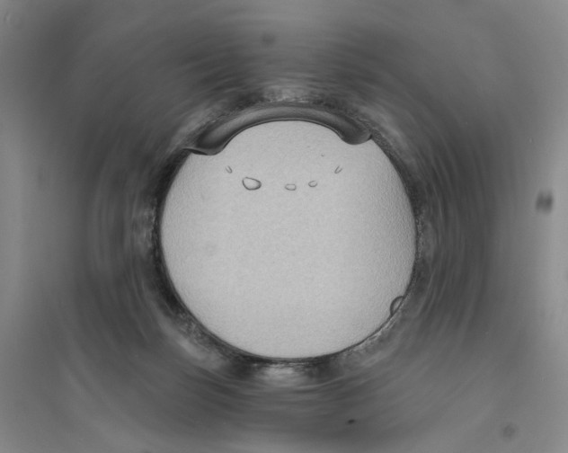 X0000094070171200711161555