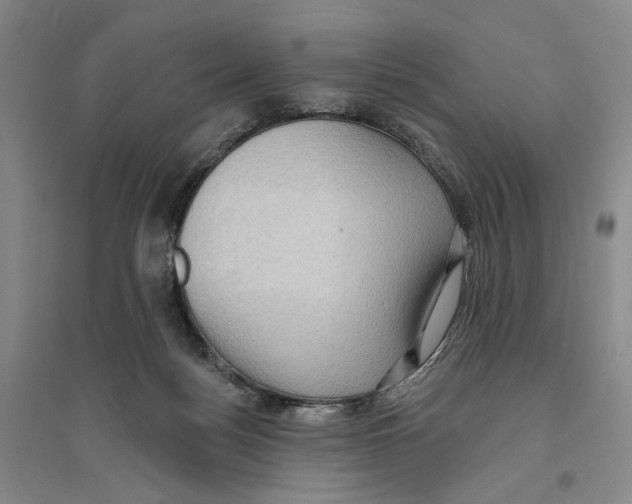 X0000094070172200711161555