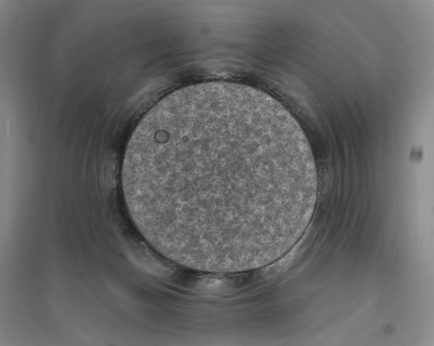 X0000094070174200711161555