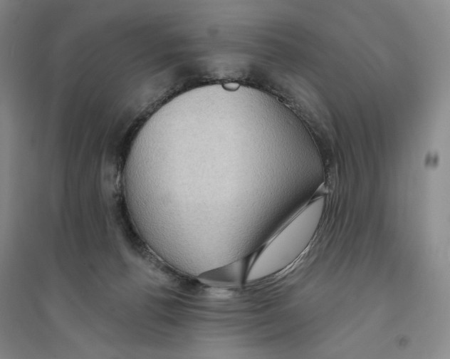 X0000094070176200711161555