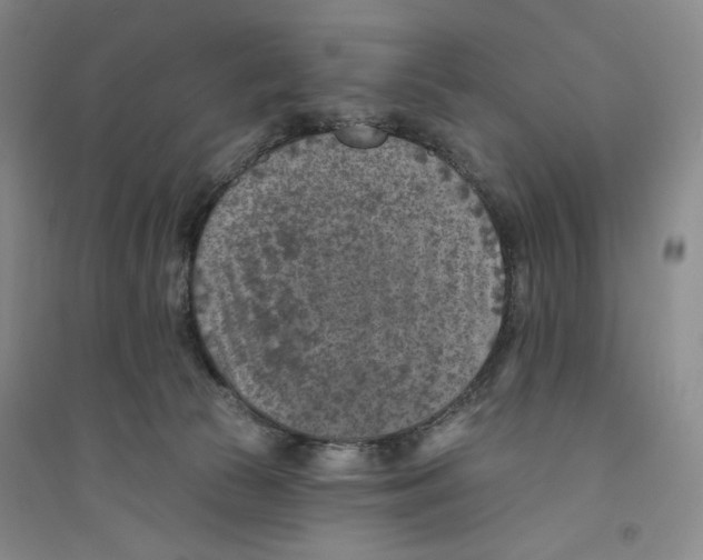 X0000094070177200711161555