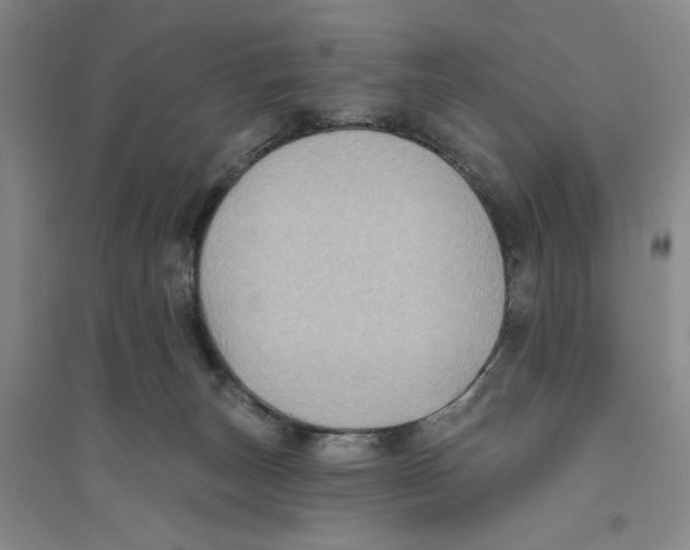 X0000094070179200711161555