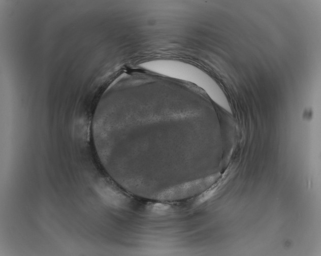 X0000094070180200711161555