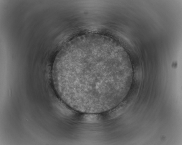 X0000094070181200711161555