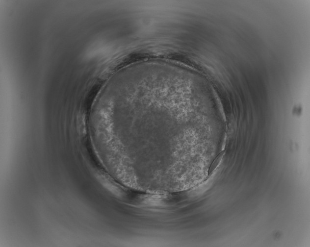 X0000094070182200711161555
