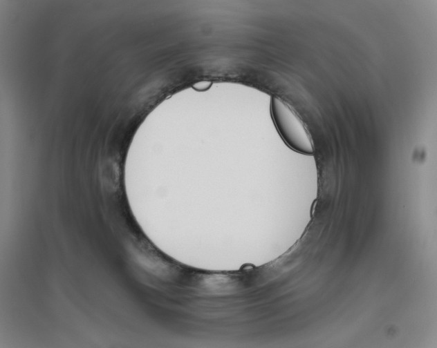 X0000094070183200711161555