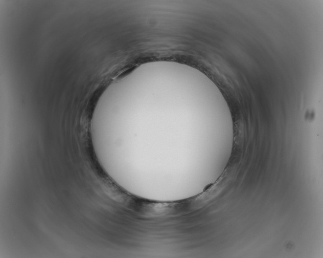 X0000094070184200711161555