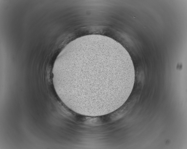 X0000094070185200711161556