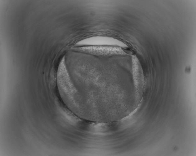 X0000094070186200711161556
