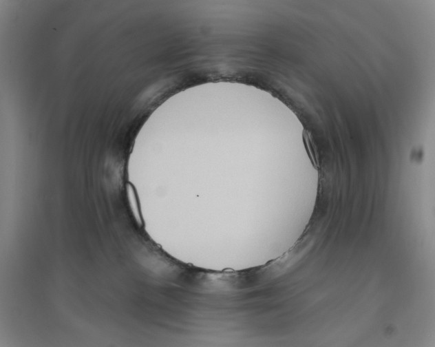 X0000094070188200711161556