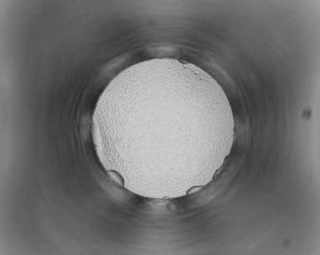 X0000094070189200711161556