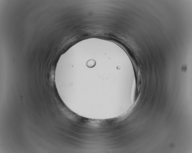X0000094070190200711161556