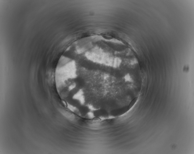 X0000094070191200711161556